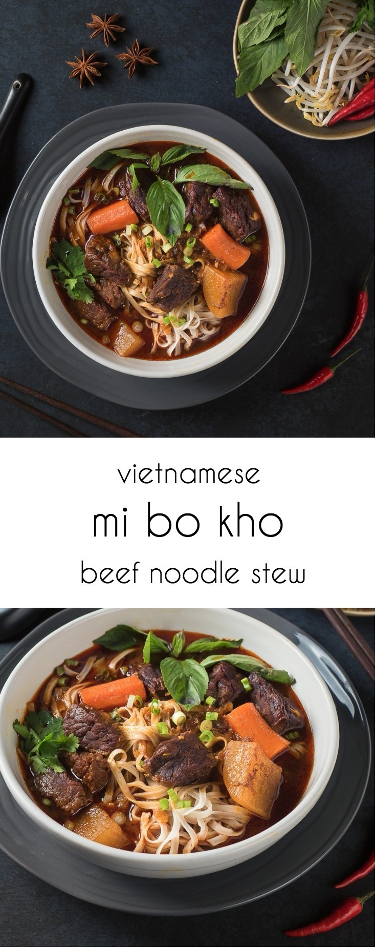 Mi bo kho - Vietnamese beef stew with rice noodles is beef stew cranked up to 10!